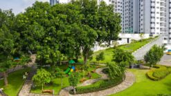 CÔNG VIÊN CÂY XANH